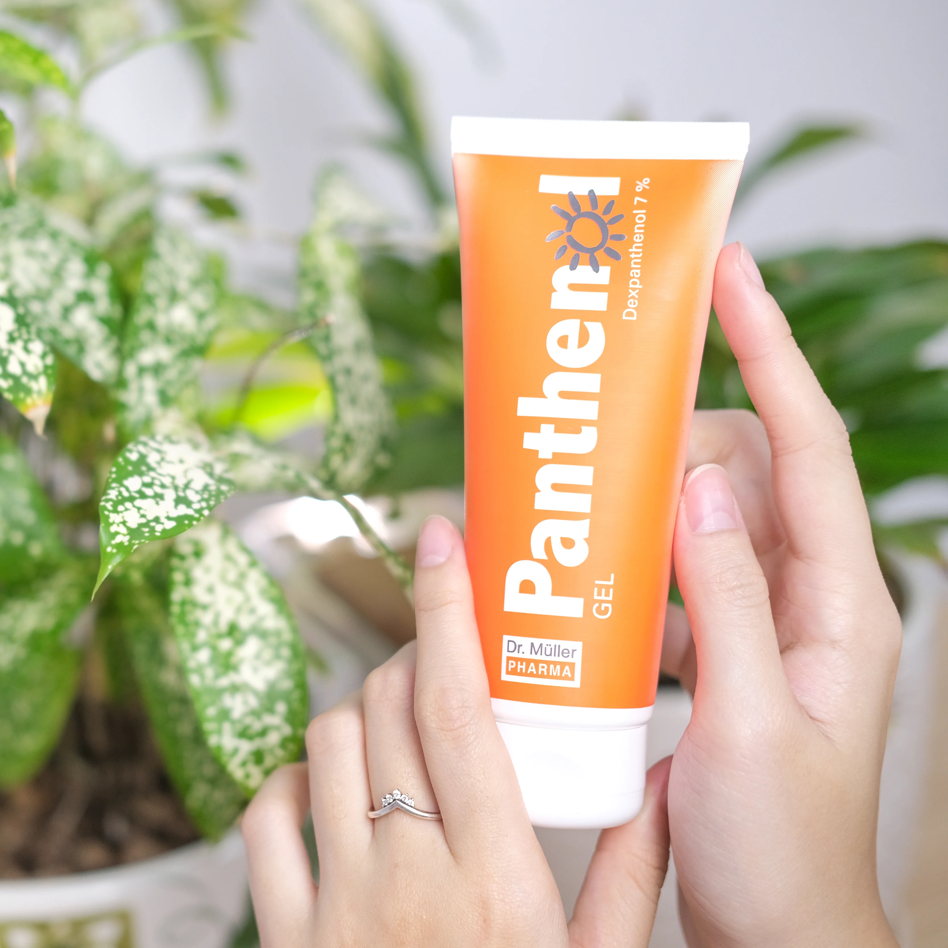 Sản phẩm đến từ